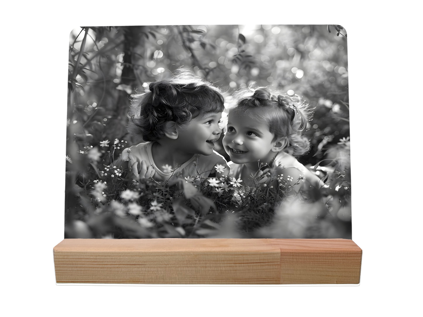 PORTAFOTOS COPERNICUS